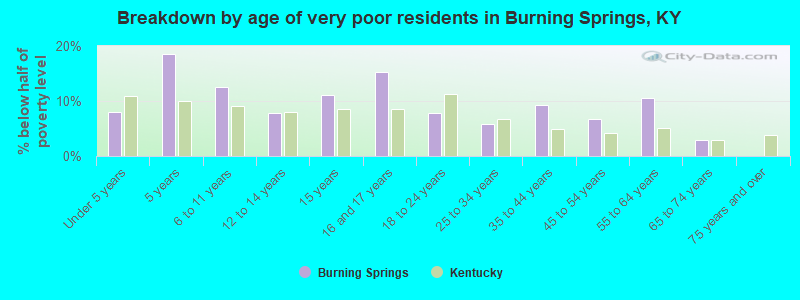 Breakdown by age of very poor residents in Burning Springs, KY