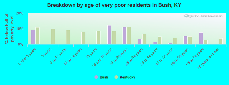 Breakdown by age of very poor residents in Bush, KY