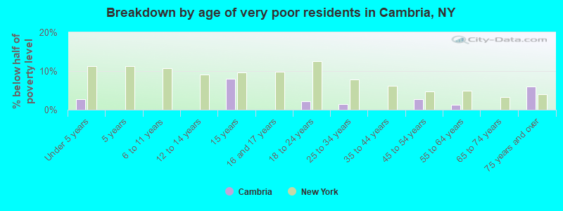Breakdown by age of very poor residents in Cambria, NY
