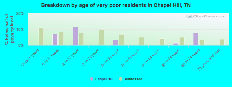 Breakdown by age of very poor residents in Chapel Hill, TN