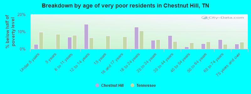 Breakdown by age of very poor residents in Chestnut Hill, TN