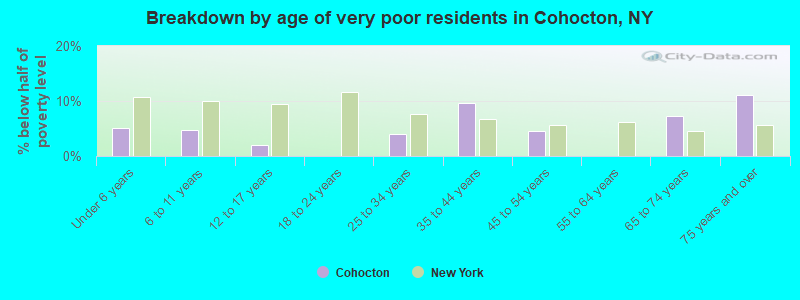 Breakdown by age of very poor residents in Cohocton, NY