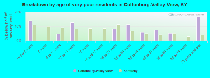 Breakdown by age of very poor residents in Cottonburg-Valley View, KY