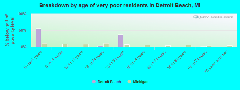 Breakdown by age of very poor residents in Detroit Beach, MI