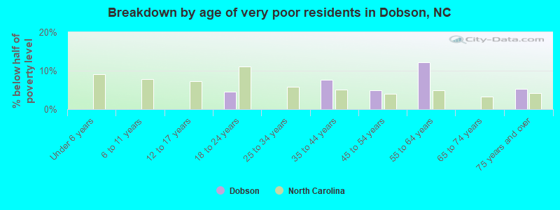 Breakdown by age of very poor residents in Dobson, NC