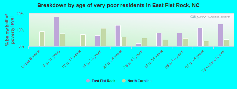 Breakdown by age of very poor residents in East Flat Rock, NC