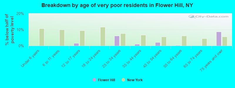 Breakdown by age of very poor residents in Flower Hill, NY