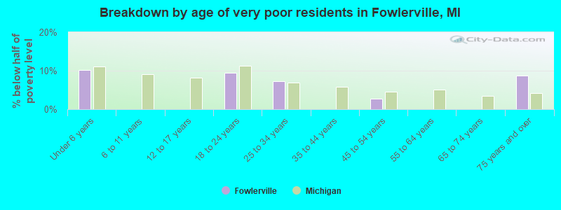 Breakdown by age of very poor residents in Fowlerville, MI