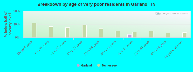 Breakdown by age of very poor residents in Garland, TN