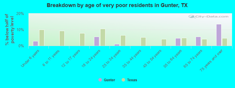 Breakdown by age of very poor residents in Gunter, TX