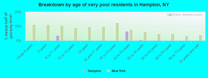 Breakdown by age of very poor residents in Hampton, NY