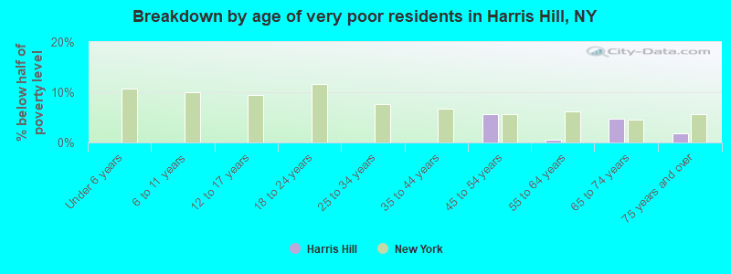 Breakdown by age of very poor residents in Harris Hill, NY