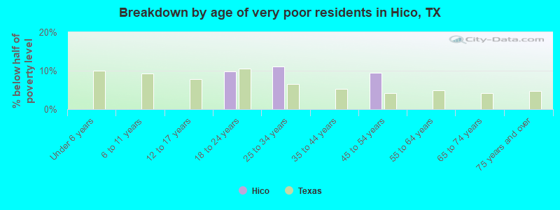 Breakdown by age of very poor residents in Hico, TX
