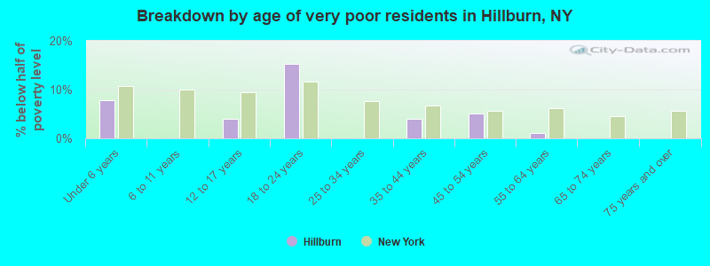 Breakdown by age of very poor residents in Hillburn, NY