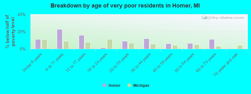Breakdown by age of very poor residents in Homer, MI