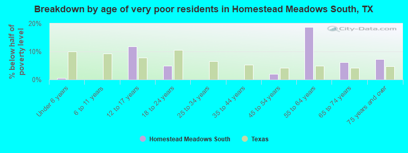 Breakdown by age of very poor residents in Homestead Meadows South, TX