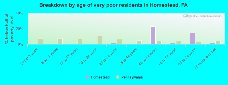 Breakdown by age of very poor residents in Homestead, PA