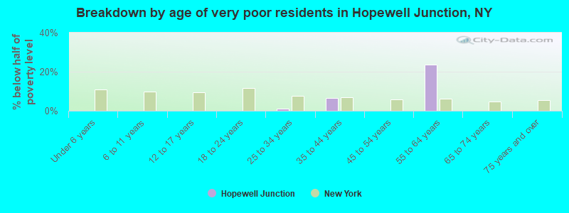 Breakdown by age of very poor residents in Hopewell Junction, NY