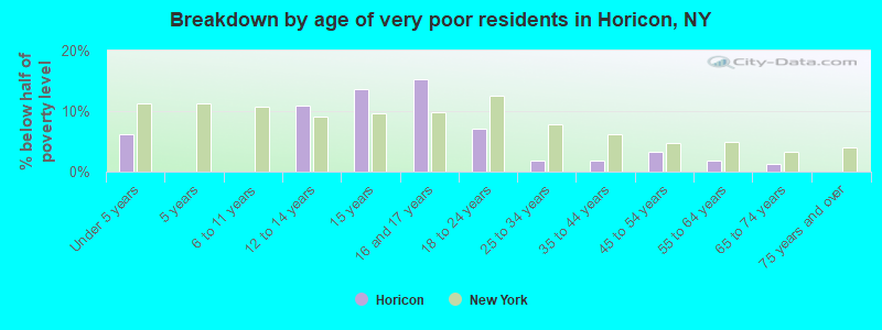 Breakdown by age of very poor residents in Horicon, NY