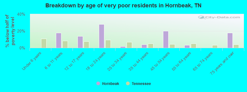 Breakdown by age of very poor residents in Hornbeak, TN