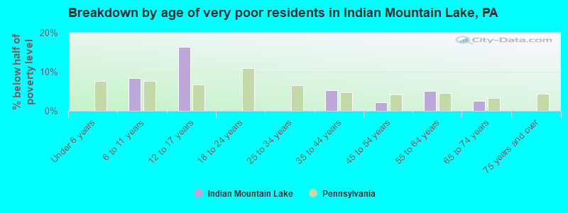 Breakdown by age of very poor residents in Indian Mountain Lake, PA