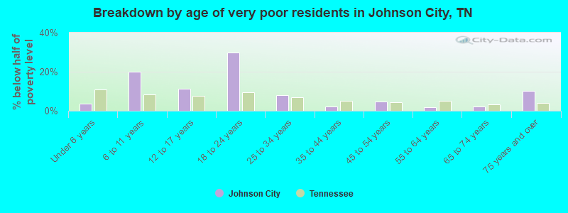 Breakdown by age of very poor residents in Johnson City, TN