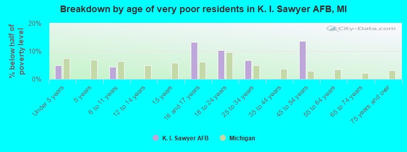 Breakdown by age of very poor residents in K. I. Sawyer AFB, MI