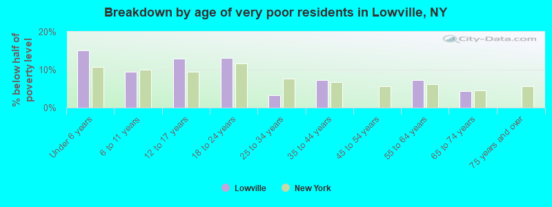 Breakdown by age of very poor residents in Lowville, NY