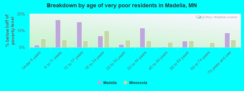 Breakdown by age of very poor residents in Madelia, MN