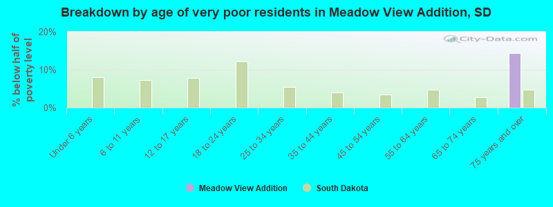 Breakdown by age of very poor residents in Meadow View Addition, SD