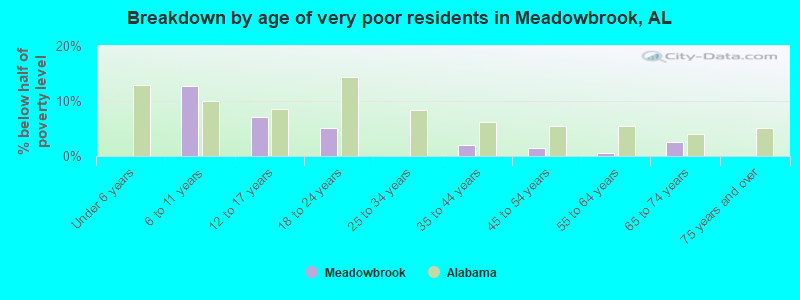 Breakdown by age of very poor residents in Meadowbrook, AL