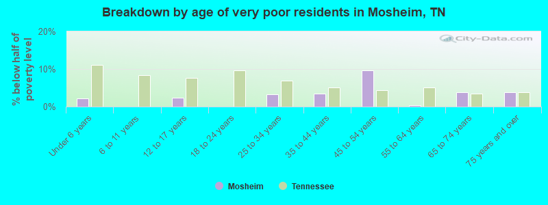 Breakdown by age of very poor residents in Mosheim, TN
