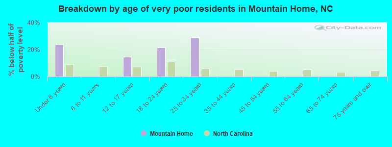 Breakdown by age of very poor residents in Mountain Home, NC