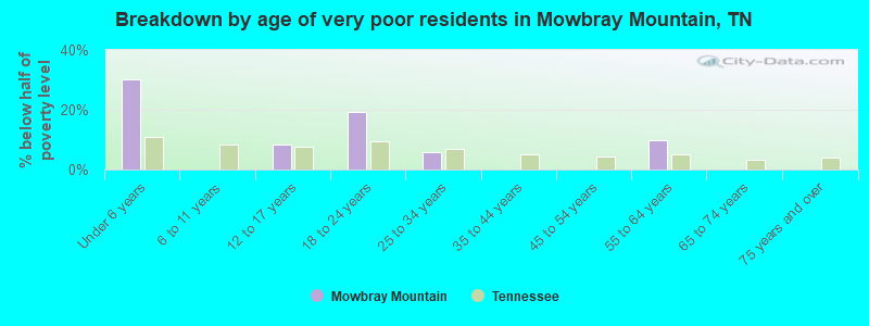 Breakdown by age of very poor residents in Mowbray Mountain, TN