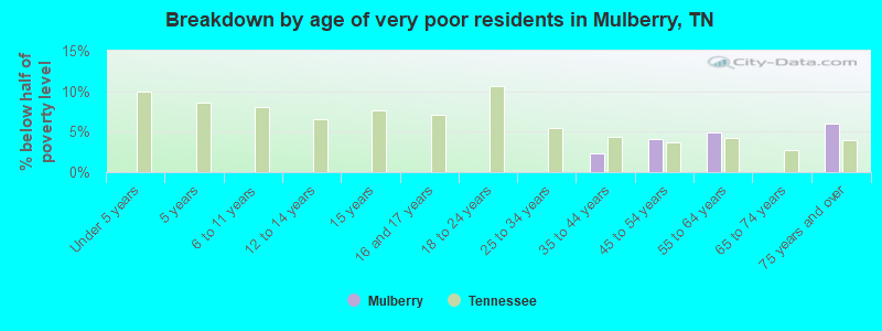 Breakdown by age of very poor residents in Mulberry, TN