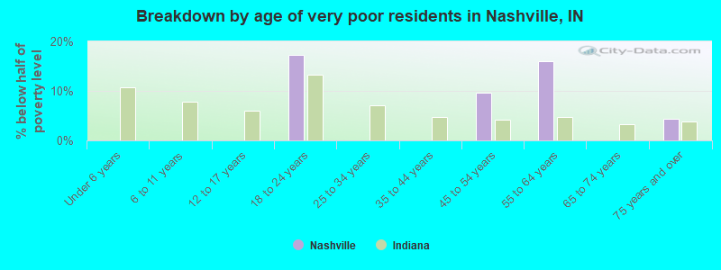 Breakdown by age of very poor residents in Nashville, IN