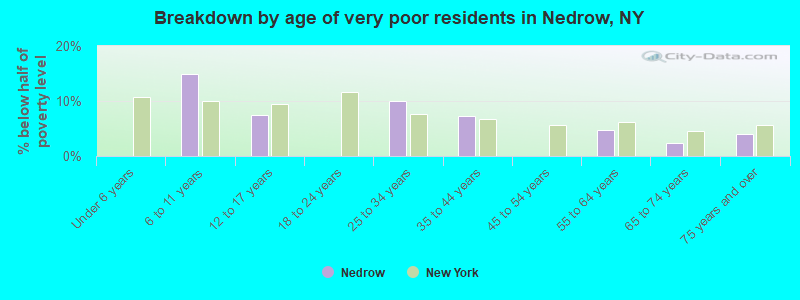 Breakdown by age of very poor residents in Nedrow, NY
