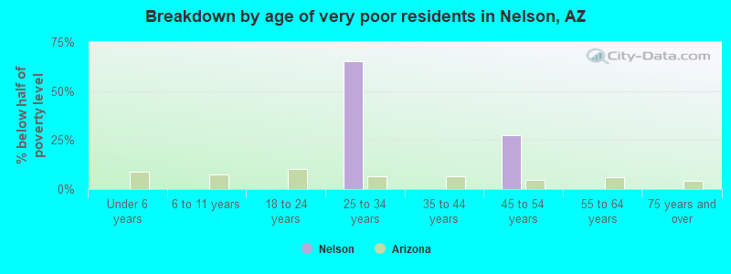 Breakdown by age of very poor residents in Nelson, AZ