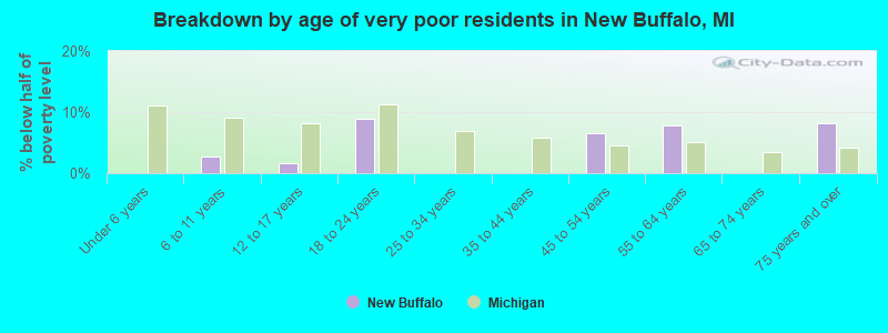 Breakdown by age of very poor residents in New Buffalo, MI