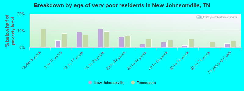Breakdown by age of very poor residents in New Johnsonville, TN