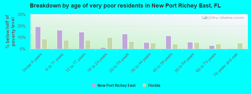 Breakdown by age of very poor residents in New Port Richey East, FL