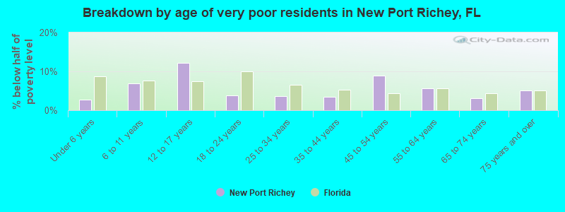 Breakdown by age of very poor residents in New Port Richey, FL