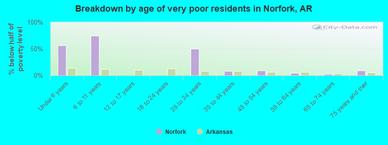Breakdown by age of very poor residents in Norfork, AR