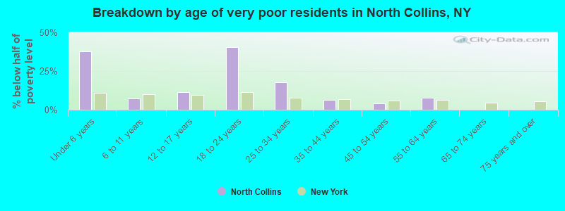 Breakdown by age of very poor residents in North Collins, NY