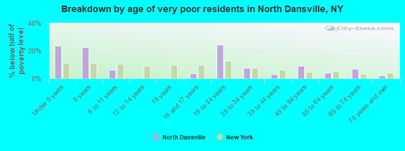Breakdown by age of very poor residents in North Dansville, NY