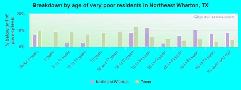 Breakdown by age of very poor residents in Northeast Wharton, TX
