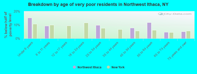 Breakdown by age of very poor residents in Northwest Ithaca, NY