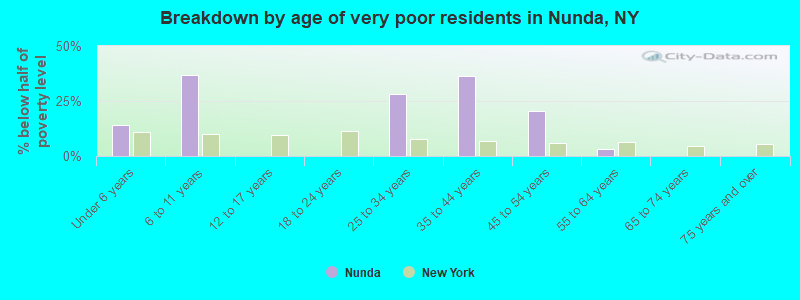 Breakdown by age of very poor residents in Nunda, NY