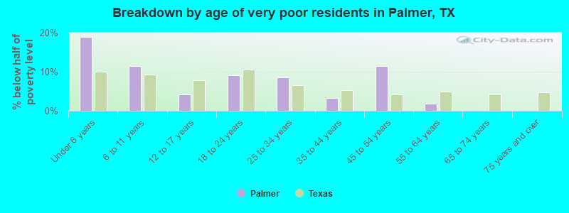 Breakdown by age of very poor residents in Palmer, TX
