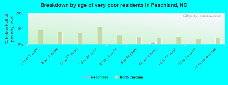 Breakdown by age of very poor residents in Peachland, NC